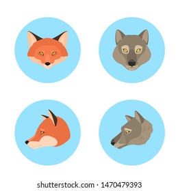 Animal head set. Collection of wild animal face front and side view. Fox and wolf. Wildlife concept. Isolated vector illustration in cartoon style