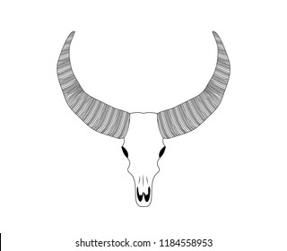 Animal head skull with horns 