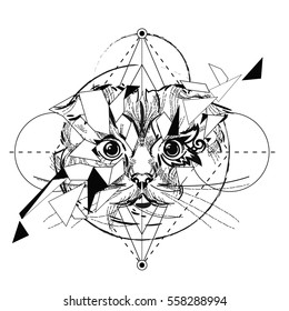 Animal head triangular icon , geometric trendy line design. Vector illustration ready for tattoo or adult relax anti stress coloring book. Scottish Cat head low-poly sketch hand drawn