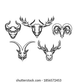 diseño de ilustración vectorial de cabezas de animales