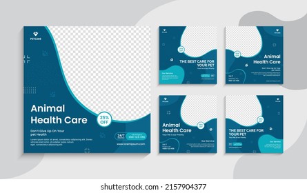 Animal Health care and Social media design set template. Promotion social media design for live business workshop. Social media for the pet care. Pet clinic social media pet service vector layout.