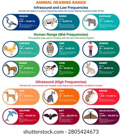 Animal hearing range frequency comparison infographic. Educational biology chart with infrasound, mid frequencies and ultrasound facts vector illustration.