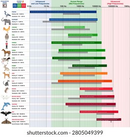Animal hearing and vocalization frequency range infographic. Educational biology chart comparing infrasound, mid frequencies and ultrasound vector illustration.