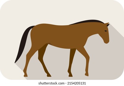 animal horse series flat icon, walking vector illustration