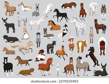 Animal Horse Stallion Pony Donkey Characters Cartoon Vector