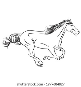 Animal, horse vector line art illustration illustration