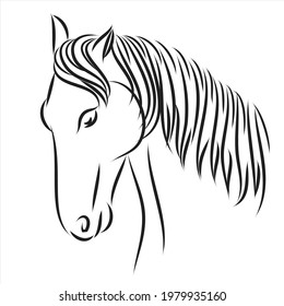Animal, horse vector line art illustration illustration