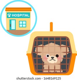 Animal hospital and a dog in a pet carrying box