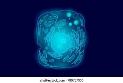 Animal Human Cell Structure Educational Science. Microscope 3d Eukaryotic Nucleus Organelle Medicine Technology Analysis. Glowing Blue Biology Poster Template Isolated Line Art Vector Illustration