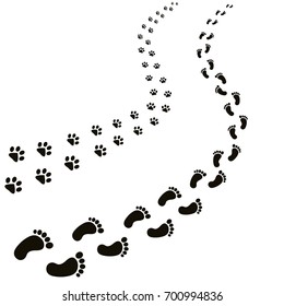 animal and human footprints isolated in white