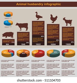 Animal husbandry infographic, agriculture, vector, flat design, elements