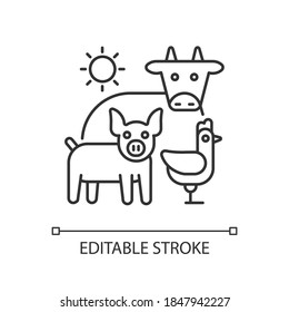 Animal husbandry linear icon. Farm livestock. Breeding cattle. Farmland production. Thin line customizable illustration. Contour symbol. Vector isolated outline drawing. Editable stroke