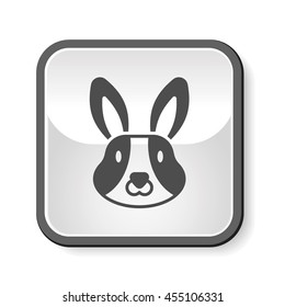 animal icon