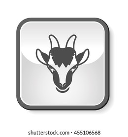 animal icon