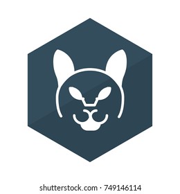   animal icon