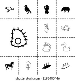 Animal icon. collection of 13 animal filled and outline icons such as dove, horse, meat, cangaroo, extinct sea creature, bear. editable animal icons for web and mobile.