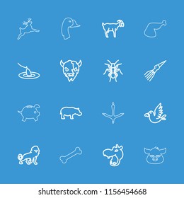 Animal icon. collection of 16 animal outline icons such as hippopotamus, lion, ant, goat, love bird, fishing, extinct sea creature. editable animal icons for web and mobile.