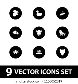 Animal icon. collection of 9 animal filled icons such as rabbit, octopus, buffalo, duck, meat, bear, lion, goat. editable animal icons for web and mobile.