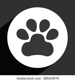 animal icon design, vector illustration eps10 graphic 