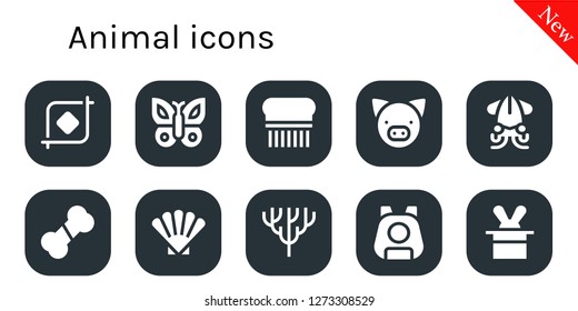  animal icon set. 10 filled animal icons. Simple modern icons about  - Crop, Butterfly, Flea, Pig, Squid, Bone, Shell, Coral, Pet, Magician
