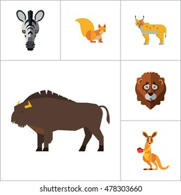 Animal Icon Set