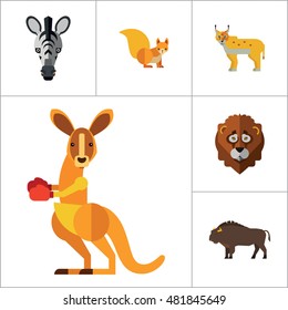 Animal Icon Set