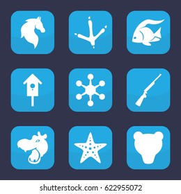 Animal icon. set of 9 filled animal icons such as fish, hippopotamus, footprint of  icobird, horse, nesting house, starfish, hundting gun, bear