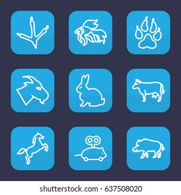 Animal icon. set of 9 outline animal icons such as animal paw, hog, rabbit, cow, footprint of  icobird, goat, fish, mouse toy