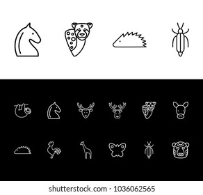 Animal icon set and butterfly with tiger, insect and hedgehog. Savanna related animal icon vector items for web UI logo design.