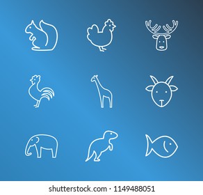 Animal icon set and chicken with fish, dinosaur and squirrel. Cock related animal icon vector for web UI logo design.