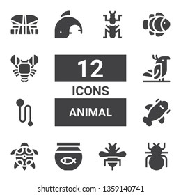 animal icon set. Collection of 12 filled animal icons included Beetle, Bee, Fish bowl, Turtle, Shark, Leash, Parrot, Dolphin, Clown fish, Lobster, Indonesia, Mantis