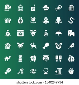 animal icon set. Collection of 36 filled animal icons included Hunter, Scratching, Collar, Fly, Honey, Chicken leg, Peacock, Fins, Saber toothed tiger, Manta ray, Desinfectant