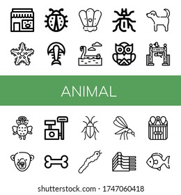 animal icon set. Collection of Pet shop, Starfish, Ladybug, Fossil, Shell, Flamingo, Beetle, Owl, Dog, Zoo, Angel, Bear, Scratching post, Bone, Cockroach, Silkworm, Mosquito icons