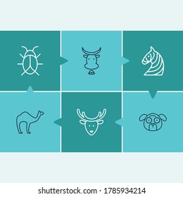 Animal icon set and cow with bug, zebra and pug. Reindeer related animal icon vector for web UI logo design.
