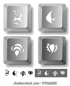 Animal icon set. Deer, bird, bee, fish.  Computer keys. Vector illustration.