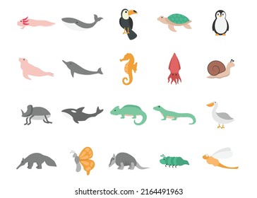 animal icon set design template vector illustration