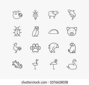 Animal icon set and dog with flamingo, sloth and swan. Insect related animal icon vector for web UI logo design.