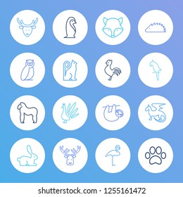 Animal icon set and dragon with paw, owl and fox. Polar bird related animal icon vector for web UI logo design.