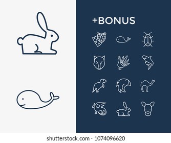 Animal icon set and dragon with peacock, falcon and shark. Peafowl related animal icon vector for web UI logo design.