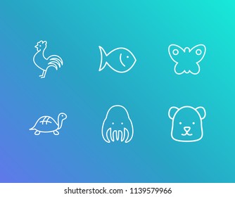 Animal icon set and fish with octopus, butterfly and turtle. Seafood related animal icon vector for web UI logo design.