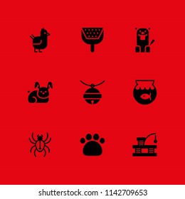 animal icon set. paw print, spider and litter box vector icon for graphic design and web