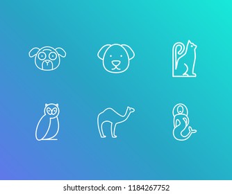 Animal icon set and puppy with camel, cat and owl. Hump related animal icon vector for web UI logo design.