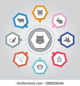 Animal Icon. Simple flat vector icons set on Gray Radiant background