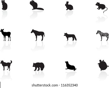 Animal icons