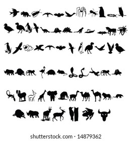 animal icons