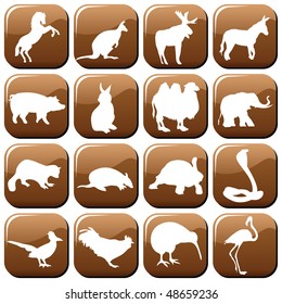 animal icons