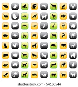 Animal Icons