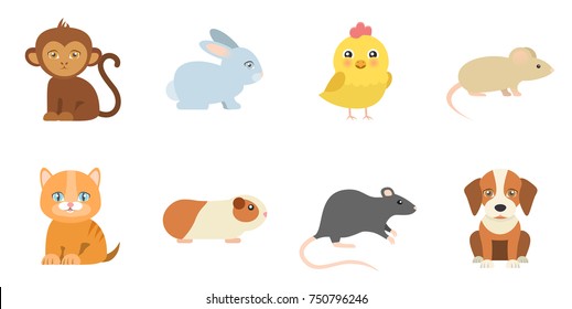 animal icons monkey bunny chicken mouse cat guinea pig rat dog flat design isolated on white background