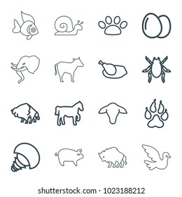 Animal icons. set of 16 editable outline animal icons such as goat, egg, animal paw, beetle, buffalo, chicken, paw, extinct sea creature, horse, cow, pig, fish, elephant