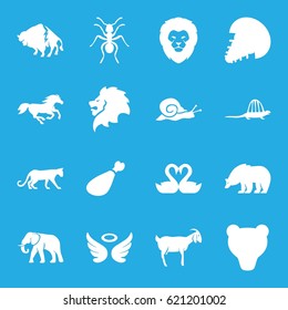 Animal icons set. set of 16 animal filled icons such as lion, panther, bear, buffalo, elephant, ant, horse, goat, snail, wings, meat leg, swan heart, extinct sea creature